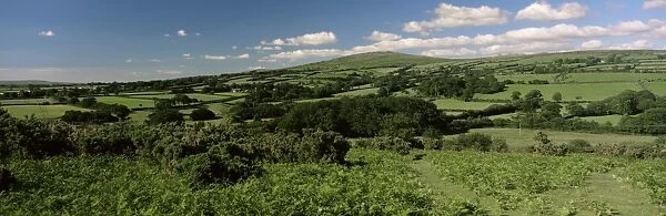 Scene near Low Town, Dartmoor, south Devon, England, United Kingdom, Europe