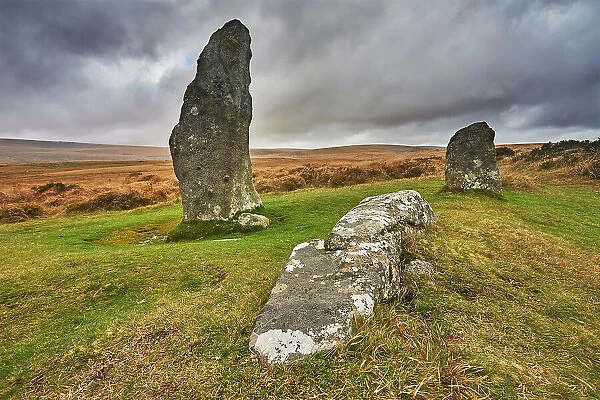 Scorhill Stone Circle, ancient stones in a prehistoric stone circle, on open moorland, Scorhill Down, near Chagford, Dartmoor National Park, Devon, England, United Kingdom, Europe