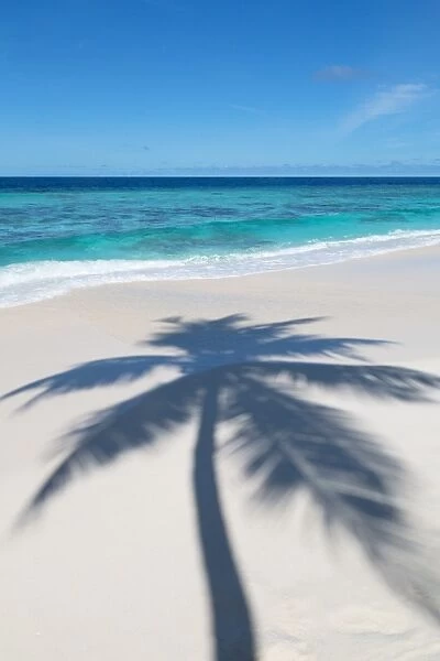 The shadow of a lone palm tree cast on a deserted beach on an island in the Maldives, Indian Ocean, Asia