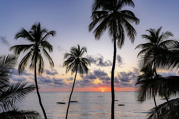 Silhouettes of palm trees with boats moored in the sea at dawn on background, Jambiani, Zanzibar, Tanzania, East Africa, Africa