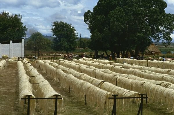 Sisal rope factory, Taveta, Kenya, East Africa, Africa