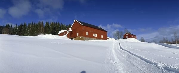 Skiing trail to the farm and cafe at Sandungen