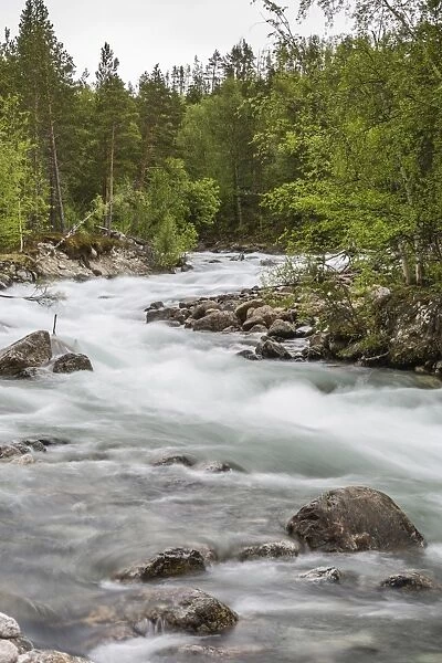 Slow motion blur detail of a raging river in Hellmebotyn, Tysfjord, Norway, Scandinavia, Europe
