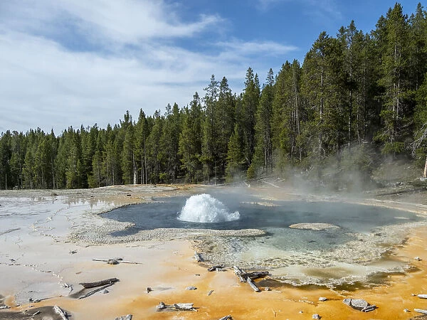 Solitary Geyser, in the Norris Geyser Basin area, Yellowstone National Park