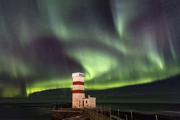 Spectacular display of the Aurora Borealis (Northern Lights) at Gardur, on the Reykjanes Peninsula