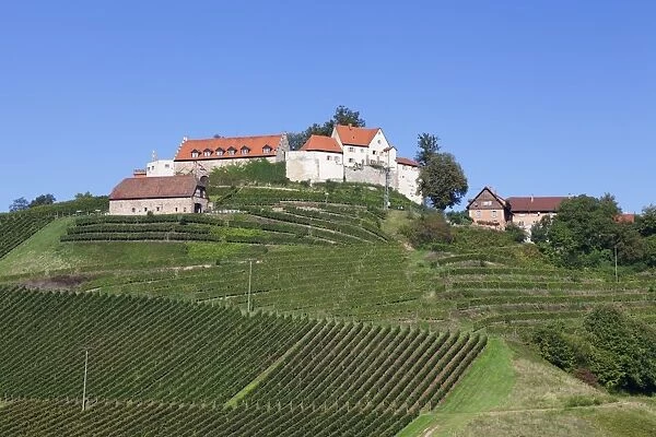 Staufenberg Castle, Durbach, Black Forest, Baden Wurttemberg, Germany, Europe