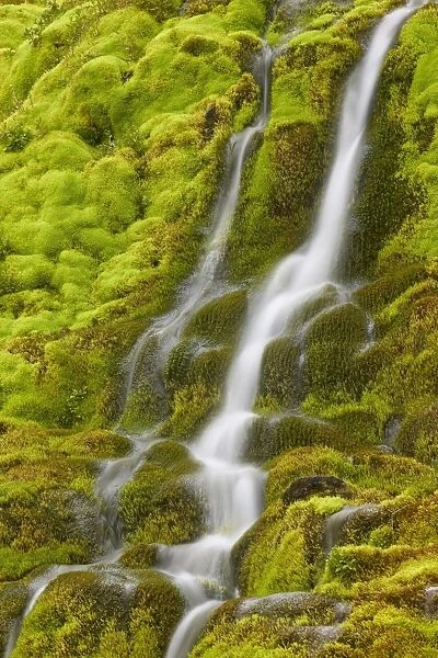 Stream through moss, Iceland, Polar Regions