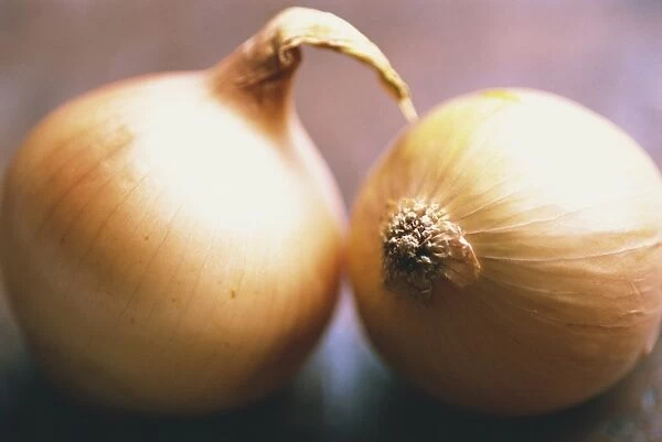 Studio shot of two onions