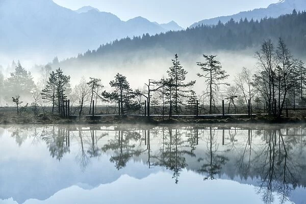 The sun illuminating the mist rising from the ponds of the Nature Reserve of Pian di Gembro early in the morning, Lombardy, Italy, Europe