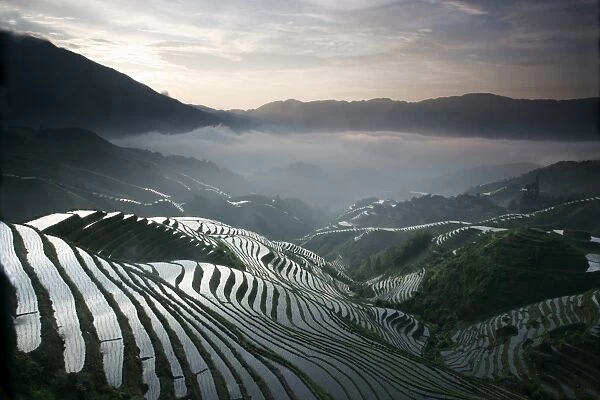 Sunrise in June, Longsheng terraced ricefields, Guangxi Province, China, Asia