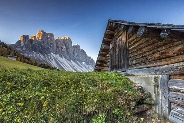 The sunrise over the Odle group from Malga Gampen in the Dolomites, South Tyrol, Italy, Europe