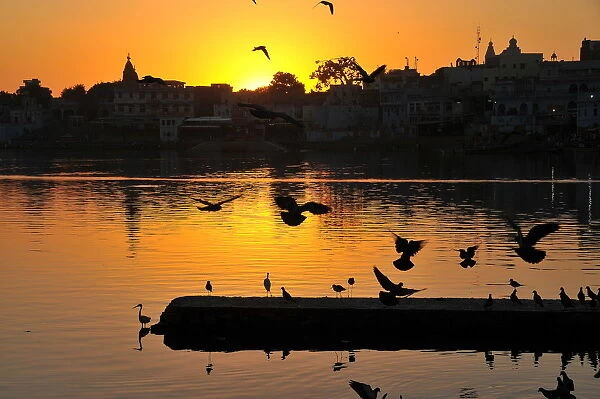 Sunset on the ghats at Pushkar holy Lake, Pushkar, Rajasthan, India, Asia