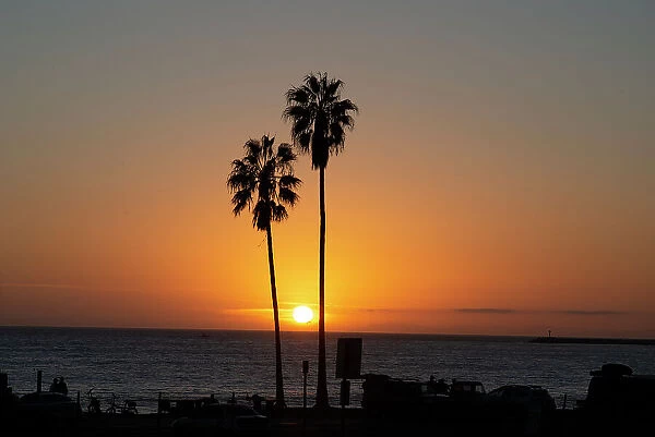 Sunset over the ocean and two palm trees in silhouettte, Dana Point, California, United States of America, North America