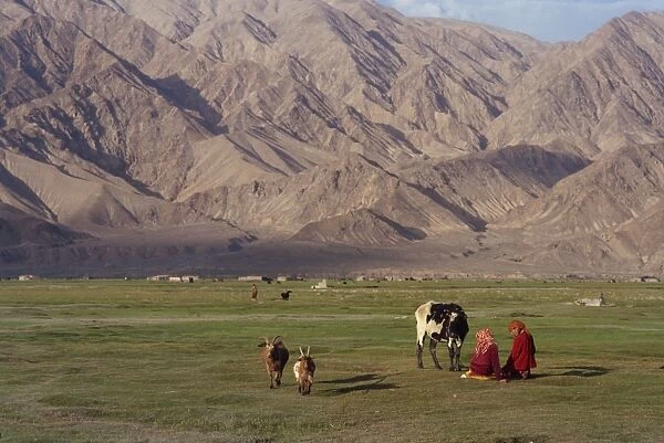 Tadjik girls with cow and goats at Tashkurghan, China, Asia