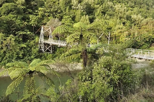 Tauranga historic bridge, Waioeka Gorge Scenic Reserve, Bay of Plenty, North Island