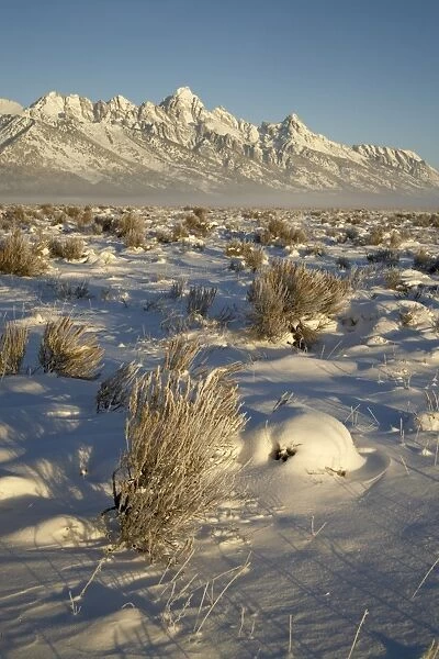 Teton range in winter