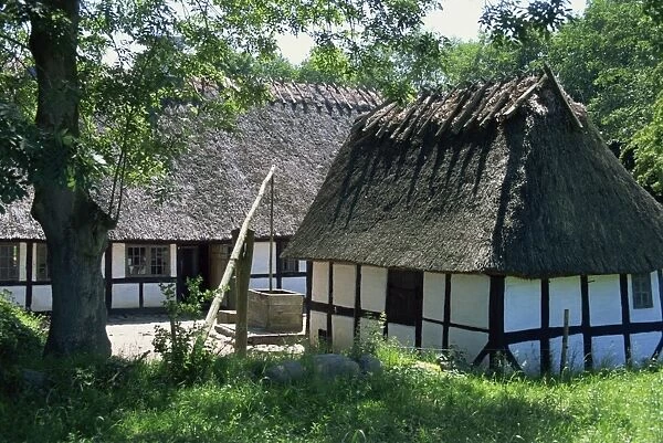 Thatched timber framed buildings and water well at the Hule Farm Village Museum