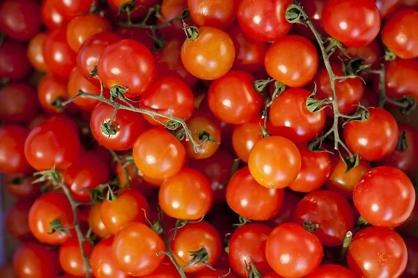 Tomatoes for sale at the Sunday morning market, Pollenca, Tramuntana, Mallorca, Balearic Islands, Spain, Europe
