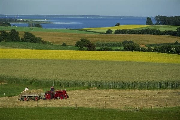 Tractor in field at harvest time, east of Faborg, Funen Island, Denmark