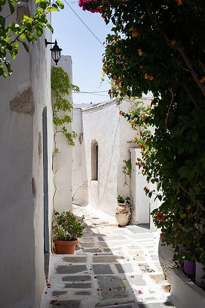 Traditional whitewashed house in Chora, Serifos, Cyclades, Greek Islands, Greece, Europe