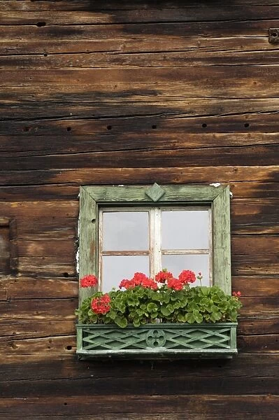 Typical window box, Otztal valley, Tyrol, Austria, Europe