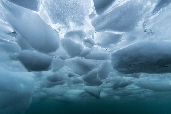 Underwater view of dense brash ice at Cuverville Island, Ererra Channel, Antarctica