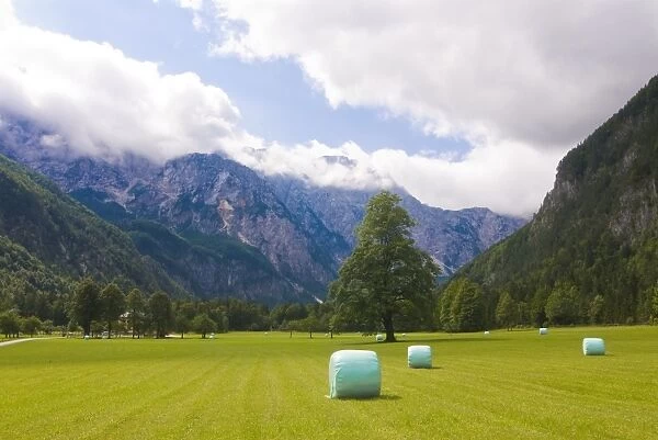 Valley with meadows and hay bales, Logarska Dolina, Slovenia, Europe