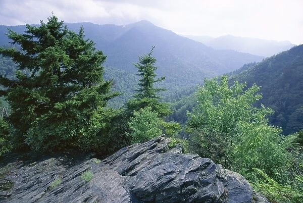 View from the Alum Cave Bluffs trail in Great Smoky