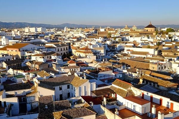 View of Cordoba from the Mezquita Cathedral bell tower, Cordoba, Andalucia, Spain, Europe