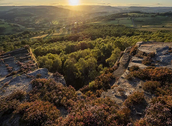 View looking towards Hathersage and Hope Valley in evening sunlight from Millstone Edge with blooming heather, Peak District National Park, Derbyshire, England, United Kingdom, Europe