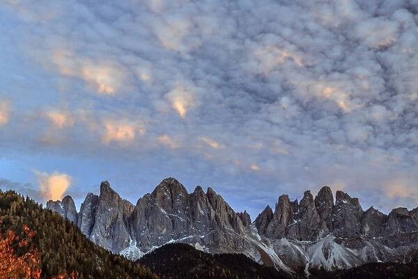 View of the Odle Mountains from St. Magdalena village in autumn, Val di Fune, South Tyrol