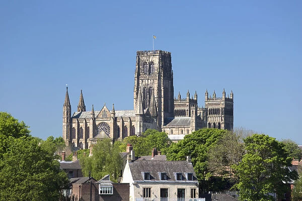View across treetops to Durham Cathedral in spring, UNESCO World Heritage Site, Durham