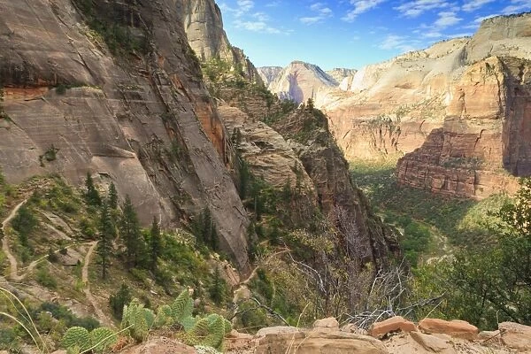 View into Zion Canyon from trail to Observation Point, Zion National Park, Utah, United States of America, North America