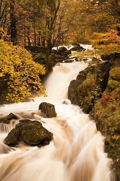 The waters of Dob Gill in the Lake District in full flow after heavy autumn rainfall, Lake District, Cumbria, England, United Kingdom, Europe