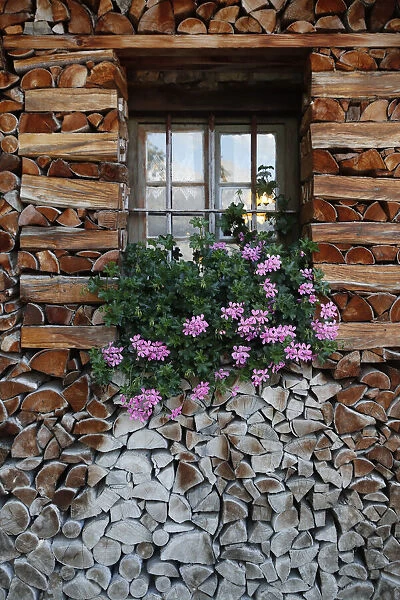 Window with flowers, wooden chalet in the French Alps, Sallanches, Haute-Savoie, France, Europe