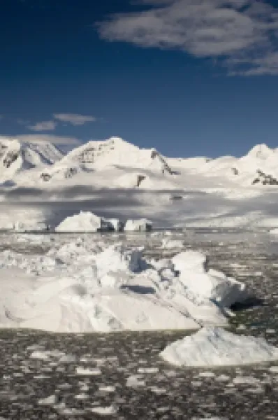 Buy Gerlache Strait