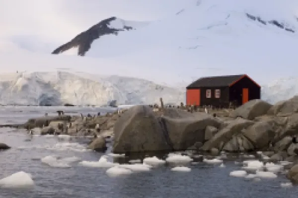 Buy British base, Port Lockroy, Antarctic Peninsula, Antarctica, Polar Regions