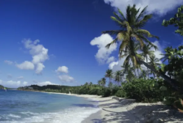 Buy Antigua