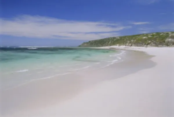Buy Kangaroo Island