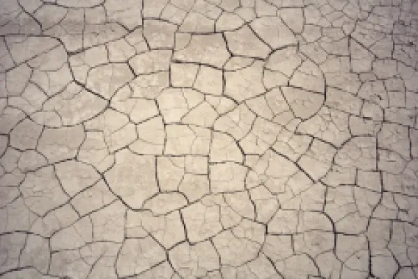 Buy Patterns in mud cracks in drought area