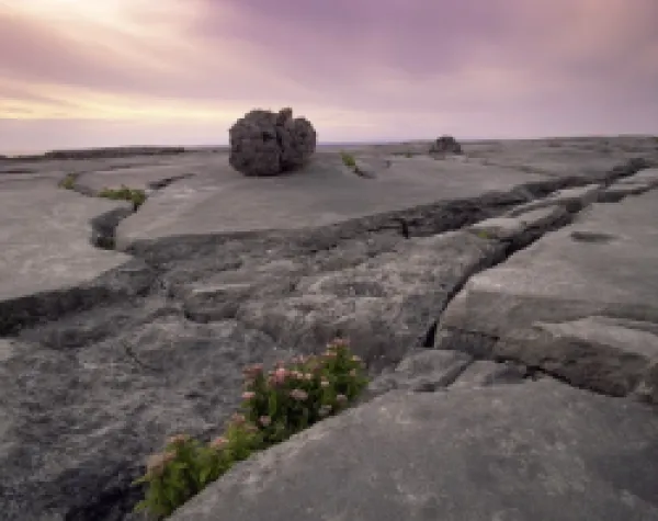 Buy Limestone rocks near the sea, at sunset, The Burren, County Clare, Munster, Republic of Ireland (Eire),
