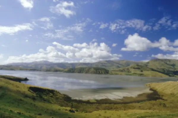 Buy New Zealand