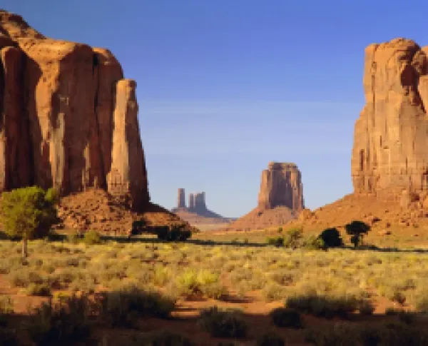 Buy Navajo Tribal Reservation