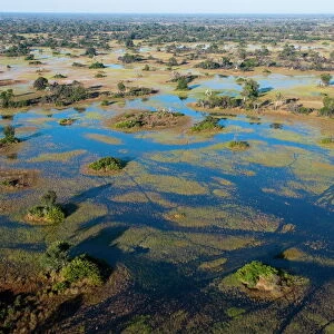 Aerial view of Okavango Delta, Botswana, Africa