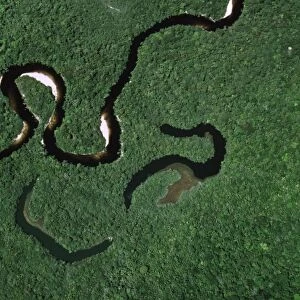Aerial view of Rain Forest with Caroni River and Ox-Bows, Venezuela, South America