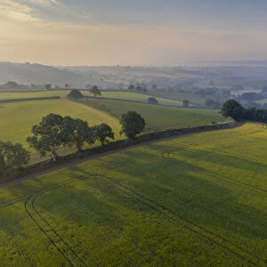 Aerial view of rolling countryside at dawn on a hazy summer day, Devon, England