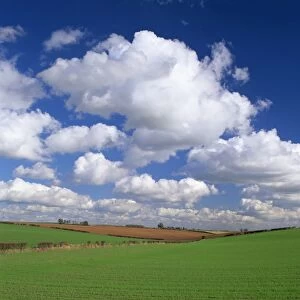 Agricultural landscape of fields and blue sky with white clouds in Lincolnshire