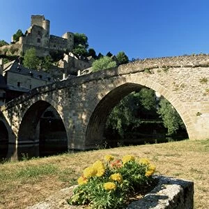 Arched medieval bridge over the Aveyron River, Belcastel, Aveyron, Midi-Pyrenees