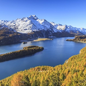 Autumn approaching at Lake Sils near St. Moritz in Engadine, where Piz la Margna is already covered in snow, Graubunden, Swiss Alps, Switzerland, Europe