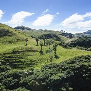 Beautiful green scenery behind Wharariki Beach, South Island, New Zealand, Pacific